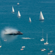 A U.S. Air Force F-35A performs a high speed pass over Lake Michigan, August 2018.